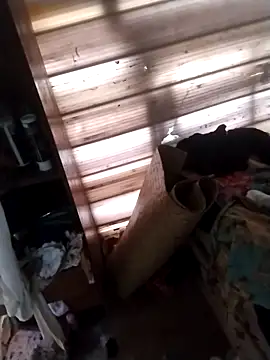 srtsara online show from December 20, 6:45 pm