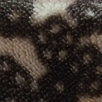 shilpaaa online show from February 3, 1:16 am