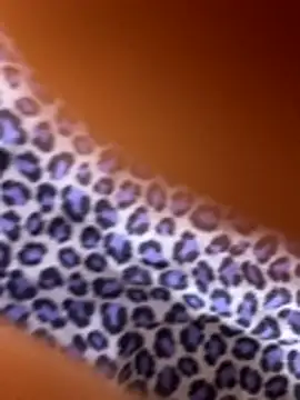 Esmeralda-berrys online show from December 16, 6:03 pm