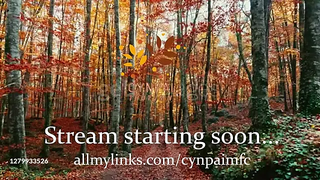 Cynpai online show from November 10, 4:40 am