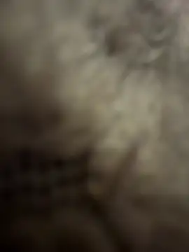 anonimgirl18old online show from February 3, 8:56 pm