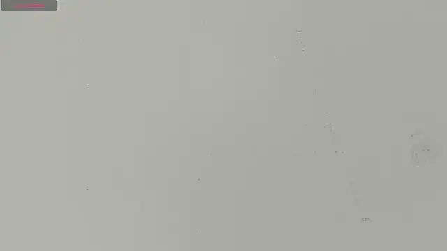 Sophia Ebony online show from June 26, 12:17 pm
