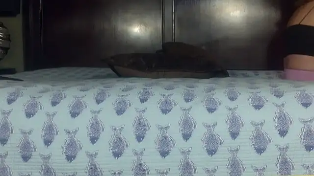 Hornylouisewil online show from November 21, 12:45 am