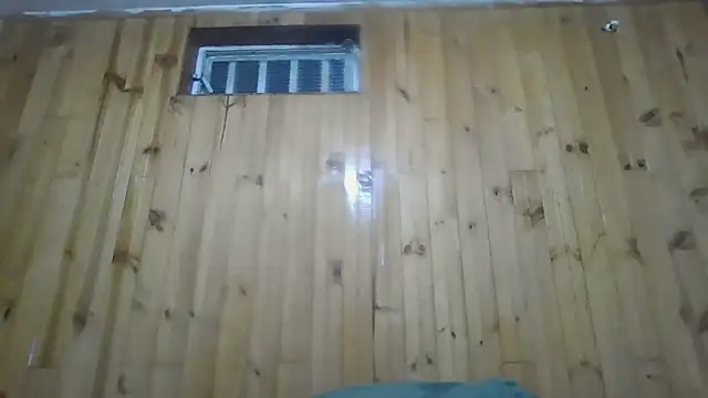 Roselingalvis13 online show from October 28, 3:23 am