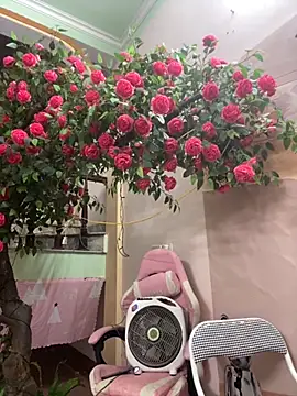 Bollozzy 89 online show from October 4, 12:22 pm