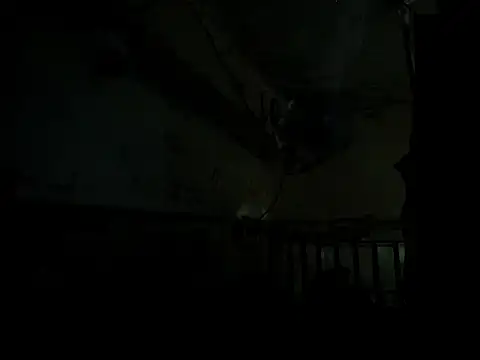 manilafoxts online show from January 16, 12:45 pm