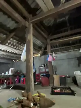 ThiHa003 online show from February 9, 9:55 am