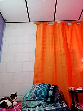 Snapshot of sofi_zzz chatting on October 3, 8:03 pm sofi zzz online show from October 3, 8:03 pm