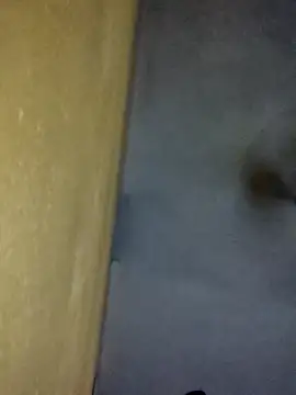 Dazzling khushii online show from October 22, 6:46 pm