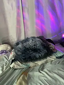 EVAH LEE  online show from February 27, 4:01 am