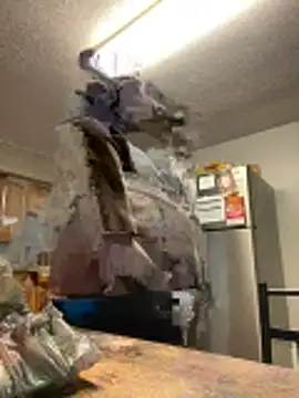 Cocomamii1 online show from February 11, 4:36 am