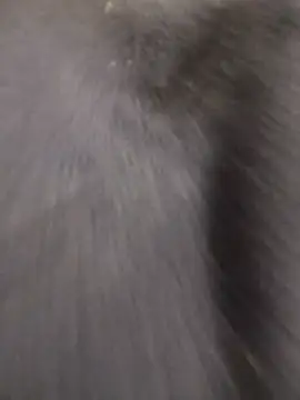 Funny Karina online show from December 15, 6:35 pm