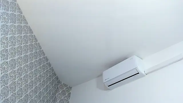 BellaNixs online show from December 22, 3:42 am