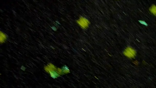 boobzilla  online show from December 20, 10:36 pm