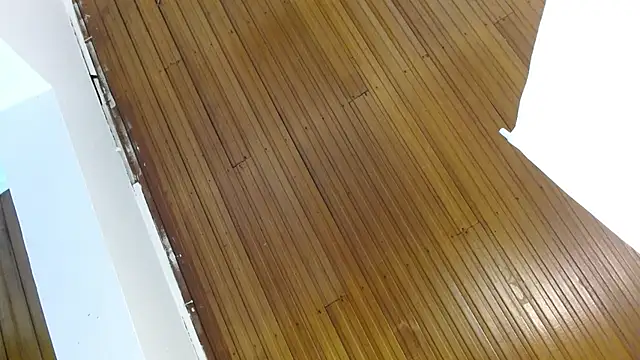 shelbygp online show from March 9, 11:57 am