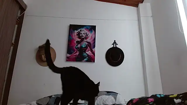 Crystal Star  online show from March 7, 1:07 pm