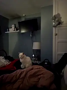 Naughtiness-but-Nice online show from October 10, 12:10 pm