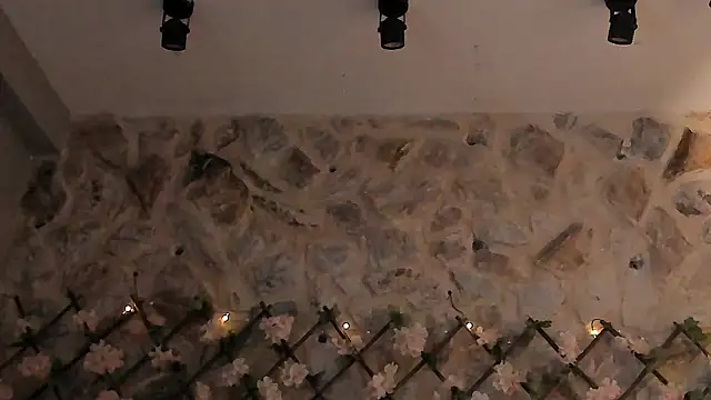 VenusBlazer online show from February 25, 8:07 pm