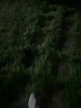 eddivad6974 online show from December 19, 6:33 pm