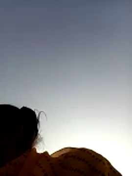 Hot-honi online show from November 25, 4:03 am