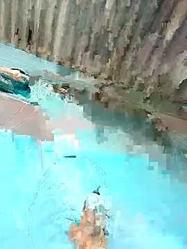 Hot-honi online show from December 22, 8:50 am