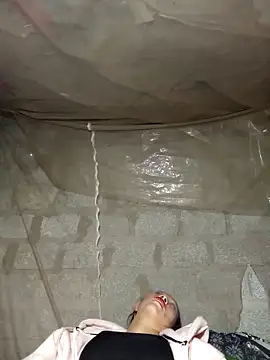 tcm-cute online show from November 7, 2:00 pm