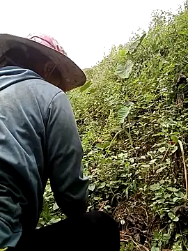 hera-00 online show from November 7, 7:36 am