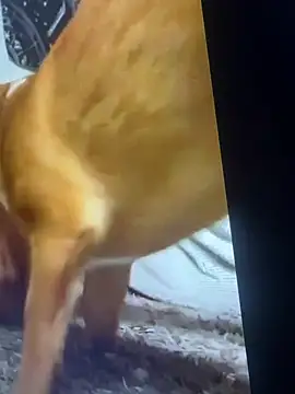 EvandEmily online show from January 18, 4:09 am