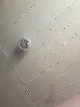 Wenlop online show from December 19, 7:50 pm