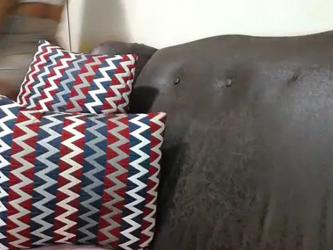 bustylaura4u online show from July 28, 10:53 pm