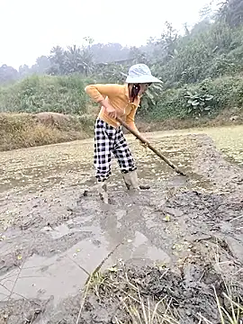 Tin tanny online show from December 5, 12:43 am