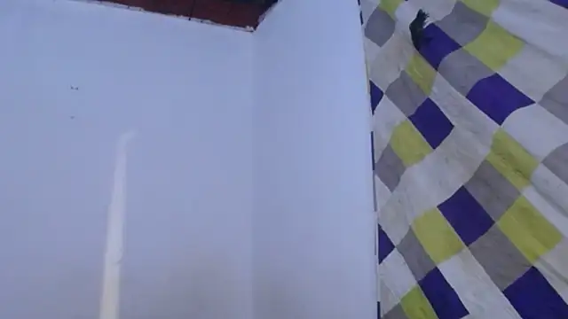 DaraKat18 online show from June 11, 2:53 am