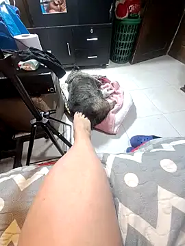 anythompsom online show from November 10, 11:22 pm