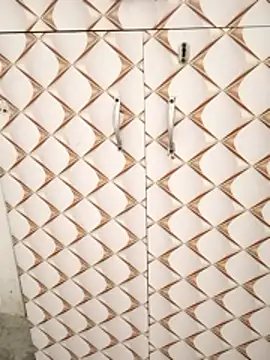 Ayeshacam online show from January 14, 5:56 am