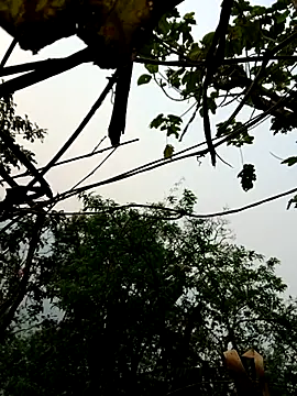 kemtuoi-sex online show from April 15, 10:05 am