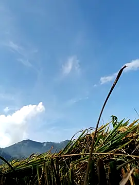 kemtuoi-sex online show from September 15, 8:33 am