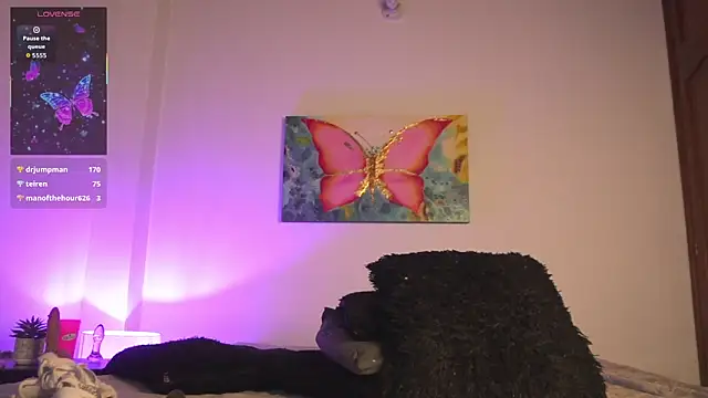 noah 0814 online show from November 6, 5:46 am