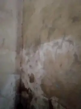 sweet bella16 online show from October 15, 12:35 am