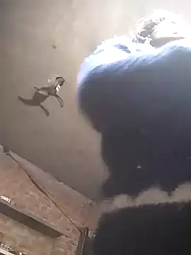 Hott cutgirl online show from December 21, 3:49 pm