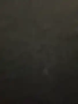 lee ly online show from December 15, 11:37 am