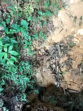 jerry-xx online show from October 29, 12:59 am