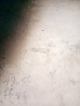 Manni john online show from March 15, 12:29 pm