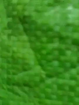 Rajni chauhan online show from October 21, 4:22 pm