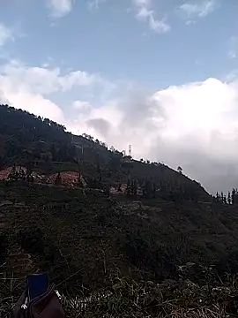 omai-ngot online show from December 18, 1:32 am