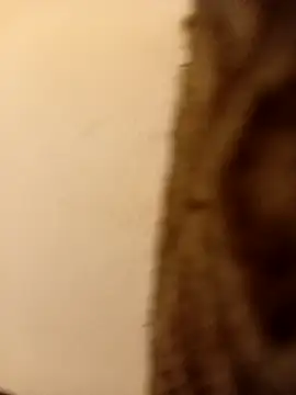 3riri online show from April 4, 10:08 pm