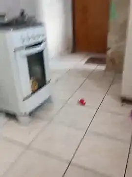  - - sthefany online show from October 29, 11:58 am