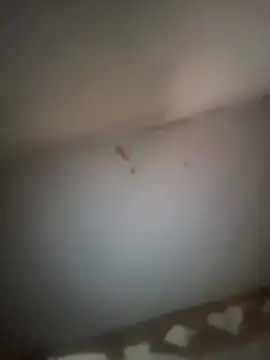 Pallu Asha online show from March 16, 2:03 am