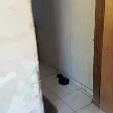  - - -sthefany online show from November 18, 10:49 am