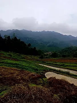 Cloud-wh online show from February 14, 3:52 am