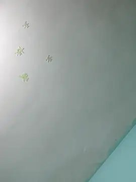 braidqueen00 online show from February 15, 12:13 am